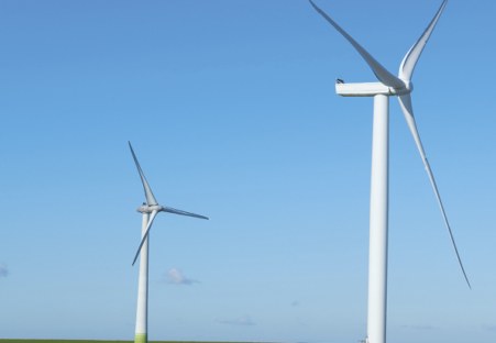 Windturbines in a field