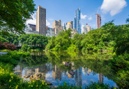 The Pond, in Central Park, Manhattan, New York City