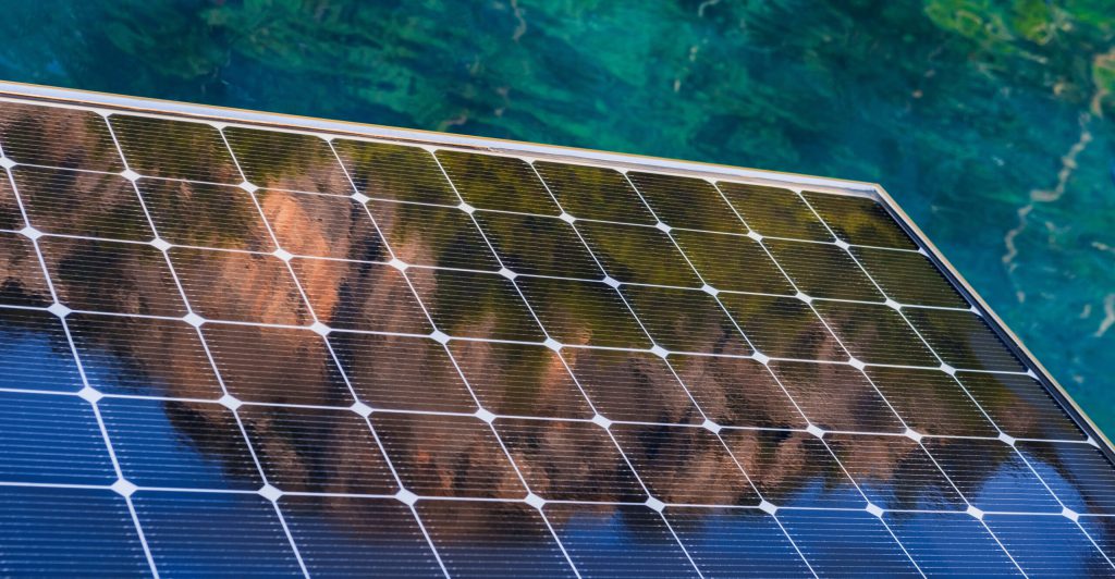 International Women’s Day: celebrating women accelerating action in sustainability