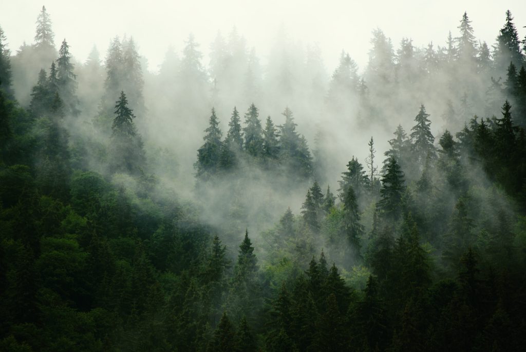 It takes two: the business of a dual approach to sustainability