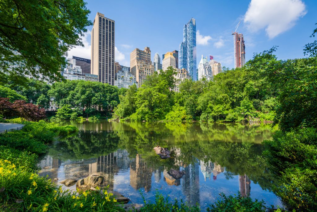 Task Force on Nature-related Financial Disclosures: what the latest recommendations mean for business