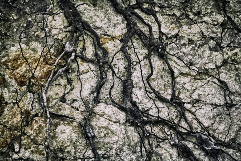 Mapping the climate policy landscape that matters to business