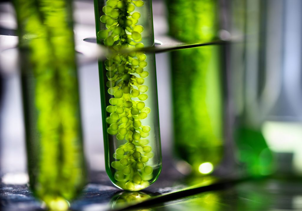 Is your business climate-disclosure ready?
