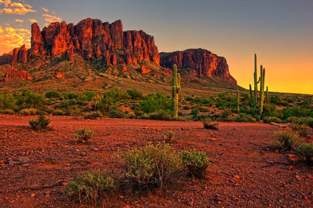 Dual purpose: integrating climate and nature into transition planning