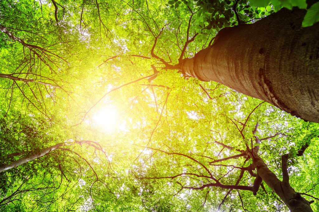 Business and sustainability: key trends CFOs should plan for in 2023 and beyond