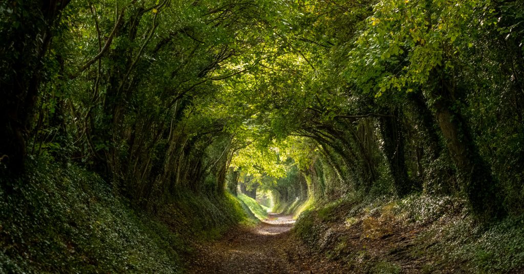Minding your business: nature needs nurture