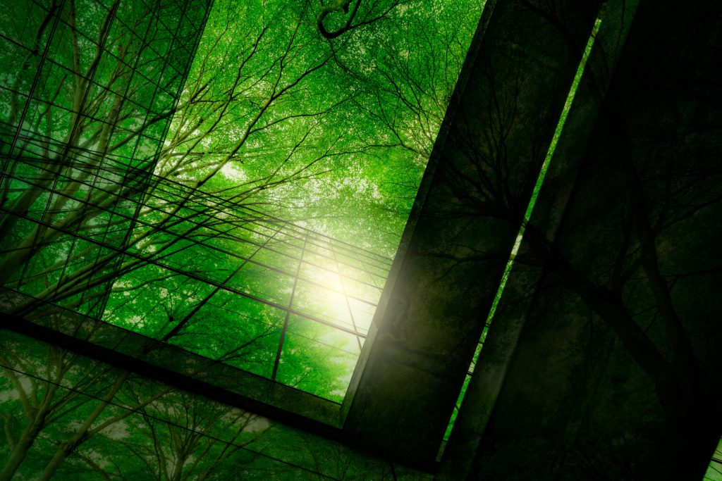 Sustainability Intelligence: a gateway to better decision-making