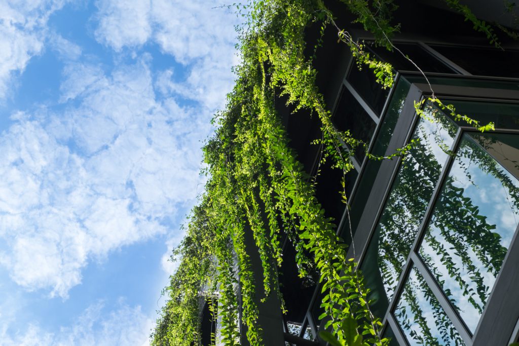 Leading the way: making the business case for a credible and realistic transition plan