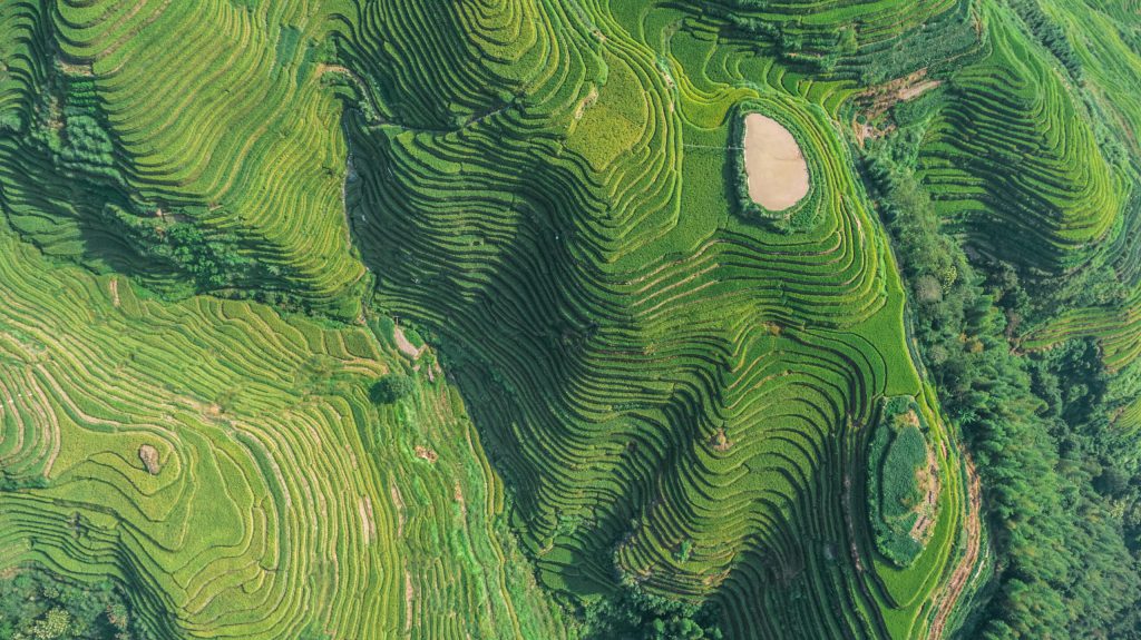 Promising the Earth