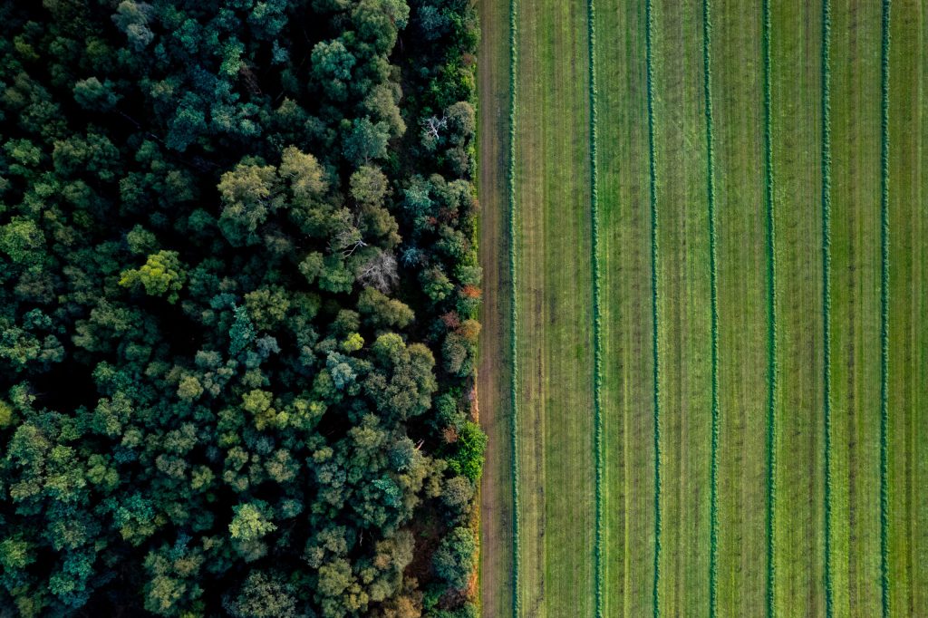 Food for thought – mapping the transition to net zero