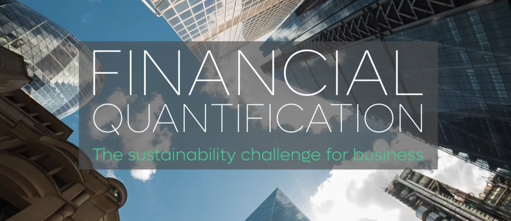 Financial quantification: the sustainability challenge for business ...