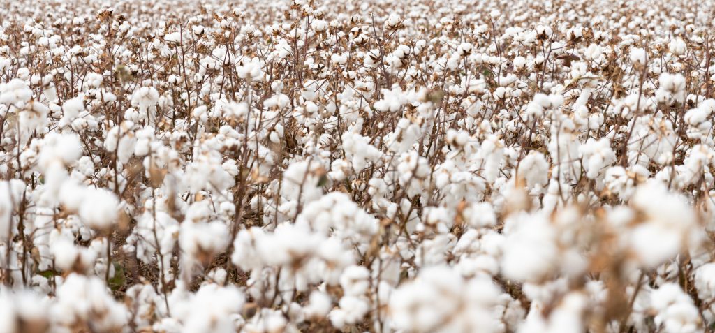 Cutting your cloth – the carbon opportunity for fashion