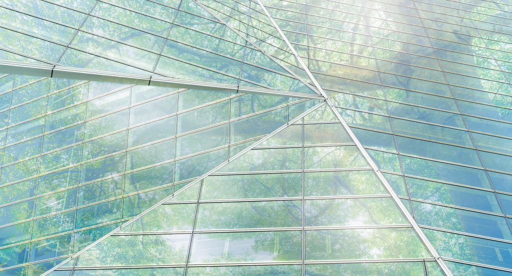 Decision time – taking leadership action towards sustainable growth