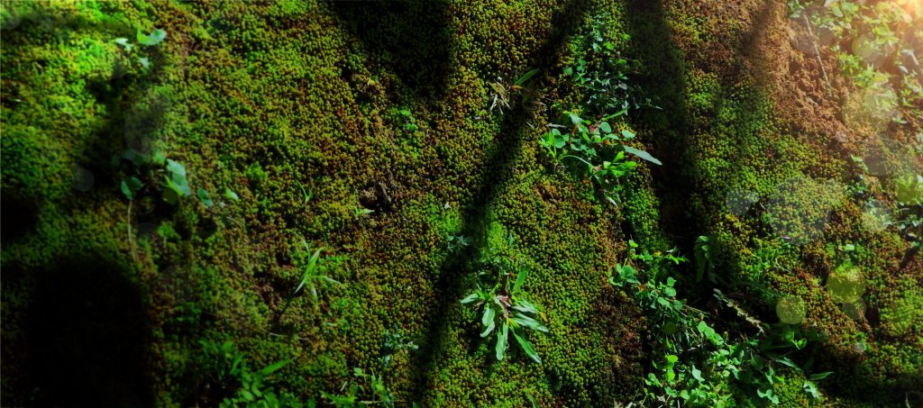 Navigating climate risk and building resilience: what business leaders need to know about the IPCC Synthesis Report