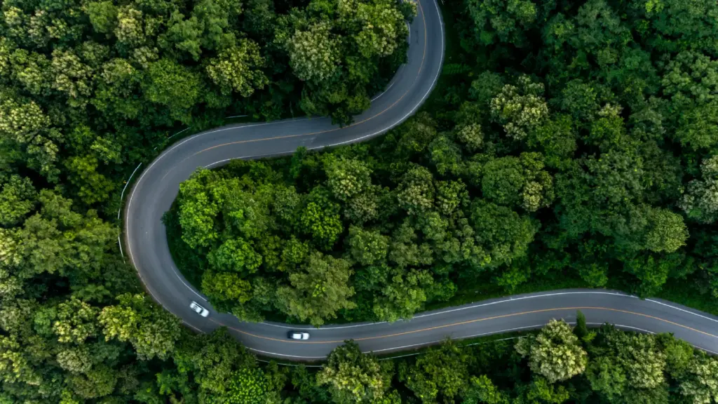 Two cars travelling on a winding road through a dense forest, seen from above.
