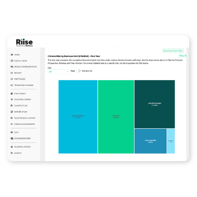 Riise Business Unit Analysis