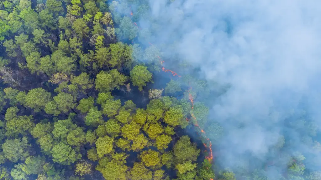 Wildfire risk