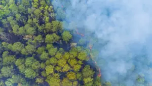 Wildfire risk